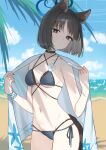  1girl animal_ears beach bikini black_eyes black_hair black_nails black_tail blue_archive blue_bikini blue_halo breasts cat_ears cat_girl cat_tail commentary halo highres kikyou_(blue_archive) kikyou_(swimsuit)_(blue_archive) layered_bikini looking_at_viewer medium_breasts nail_polish navel official_alternate_costume short_hair solo stomach swimsuit tail yumeme_818 