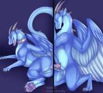 absurd_res accidental_incest_(lore) animal_genitalia balls blue_body blue_eyes blue_fur brother_(lore) brother_and_sister_(lore) claws clitoris collar dragon duo embyr_(artist) erection european_mythology eyes_closed female feral fur fur_markings furred_dragon furred_scalie genitals glory_hole hi_res horn incest_(lore) knot male male/female markings mythological_creature mythological_scalie mythology pawpads penis ridged_penis scalie sex sheath sibling_(lore) sister_(lore) spikes tail tail_tuft tuft twincest_(lore) twins_(lore) vulva western_dragon wings zeph_(nightfire_zephyr) zephy_(nightfire_zephyr)