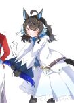  >_< 2girls ahoge animal_ears black_hair black_pantyhose blue_tail commentary contrail_(racehorse) d6pvxvigzl45771 daring_tact_(umamusume) dress genderswap genderswap_(mtf) grabbing_another's_tail hair_ornament hair_ribbon horse_ears horse_girl jacket multiple_girls original pantyhose personification pout ribbon simple_background solo_focus star_(symbol) star_hair_ornament umamusume white_background white_dress white_jacket 