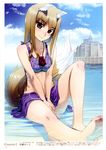  animal_ears bikini feet holo koume_keito spice_and_wolf swimsuits tail wet 