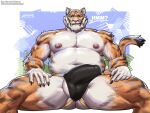 2025 5_fingers amon-sydonai anthro ball_slip barazoku belly black_claws black_clothing black_jockstrap black_underwear bulge claws clothed clothing fangs felid fingers front_view fur jockstrap jockstrap_only male mammal mouth_closed multicolored_body multicolored_fur muscular muscular_arms nipples notched_ear orange_body orange_fur pantherine question_mark sitting solo speech_bubble tail teeth text tiger topless underwear underwear_only whiskers white_body white_fur