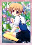  1girl :d absurdres asymmetrical_legwear blue_dress blue_flower blush border brown_hair dress flower from_behind full_body fumio_(ura_fmo) grisaia_(series) grisaia_no_kajitsu highres irisu_makina looking_at_viewer looking_back mihama_private_academy_school_uniform mismatched_legwear official_art open_mouth pink_border pink_flower pink_thighhighs purple_flower red_eyes scan school_uniform shirt short_dress short_hair short_sleeves short_twintails sitting smile solo thighhighs third-party_source twintails two-tone_dress wariza white_shirt 