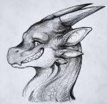  dragon feral shon2 smile tavix 