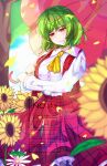  absurdres ascot closed_umbrella field flower flower_field green_hair highres hirwannew kazami_yuuka looking_at_viewer open_clothes open_vest parasol plaid_clothes plaid_skirt plaid_vest pov red_eyes red_vest skirt skirt_set sunflower sunflower_field touhou umbrella vest yellow_ascot 
