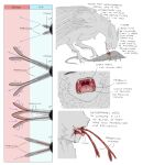 2025 ambiguous_feral ambiguous_gender arthropod avian blood blood_from_mouth blood_in_mouth bodily_fluids detailed_mouth digital_drawing_(artwork) digital_media_(artwork) duo english_text european_mythology eyes_closed feathered_ears feathered_wings feathers feral greek_mythology grey_body grey_feathers hard_vore harpy hi_res information insect jejejunum mythological_avian mythological_creature mythology nethermare open_mouth pink_tongue proboscis_(anatomy) sharp_teeth speculative_evolution tan_teeth teeth text tongue vore wings