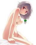  hayashi_custom izayoi_sakuya naked nipples touhou 