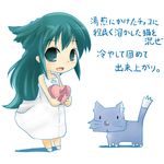  artist_request cat chibi cute green_eyes green_hair heart saya saya_no_uta translation_request valentine 