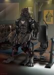 2025 4_toes abs ankle_cuffs anthro artist_name balls barefoot biceps big_muscles biped black_claws black_hair black_nipples black_nose black_pawpads black_penis blurred_background broad_shoulders calf_muscles canid canine canis chain cheek_tuft chest_markings chest_tuft claws clothed clothing crotch_tuft cuff_(restraint) depth_of_field digitigrade ear_piercing ear_ring exercise_equipment facial_tuft feet finger_claws fingers flaccid fluffy fluffy_tail forearm_muscles frenum_ladder frenum_piercing fur fur_hair genital_piercing genitals glans glistening glistening_clothing grey_body grey_eyes grey_fur gym hair hand_on_leg hand_on_own_leg hand_on_own_thigh hand_on_thigh hi_res hive43 humanoid_genitalia humanoid_penis inner_ear_fluff inside jacket ladder_piercing latex latex_clothing latex_jacket latex_leg_warmers latex_legwear leg_strap leg_warmers legwear male mammal mane markings mohawk muscular muscular_anthro muscular_male narrowed_eyes neck_tuft nipple_piercing nipple_ring nipples open_clothing open_jacket open_topwear pawpads paws pecs penis penis_piercing piercing pose poster prince_albert_piercing pubes quads restraints ring_piercing roman_numeral seductive shaded signature sitting smokepaw snout solo tail text tight_clothing toe_claws toes topwear tuft unzipped unzipped_jacket unzipped_topwear wear weight_rack weight_room white_markings wolf workout_equipment zipper