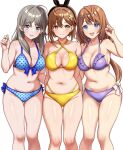  3girls ahoge ass_visible_through_thighs atelier_(series) atelier_resleriana atelier_ryza atelier_totori bare_legs bikini black_bow blue_bikini blue_eyes blush bow breasts brown_eyes brown_hair cheenosuke cleavage commentary_request cowboy_shot criss-cross_straps frilled_bikini frills hair_between_eyes hair_bow hair_ornament hairclip in-franchise_crossover long_hair looking_at_viewer medium_breasts multiple_girls navel open_mouth polka_dot polka_dot_bikini purple_bikini purple_eyes reisalin_stout resna_sternenlicht sidelocks simple_background smile standing swimsuit teeth thighhighs totooria_helmold upper_teeth_only very_long_hair white_background white_bow yellow_bikini 