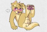 air_puff animal_genitalia annoyed anthro balls biped bird_dog blush canid canine canis digital_drawing_(artwork) digital_media_(artwork) digitigrade domestic_dog embarrassed feet_up floppy_ears fluffy fluffy_tail flustered full-length_portrait fur genitals golden_retriever hair hand_covering_face hi_res hunting_dog jack_(synthet1c) looking_at_viewer male male_anthro mammal nude nude_anthro nude_male pawpads paws pink_eyes pink_nose pink_pawpads portrait pose presenting retriever shaded sheath short_hair simple_shading solo synthet1c tail tasteful_nudity three-quarter_view yellow_body yellow_fur