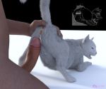  3d_(artwork) a_cat_is_fine_too after_sex anus bestiality cum cum_in_pussy cum_inside digital_media_(artwork) domestic_cat duo erection faceless_male felid feline felis female female_focus feral fuzzyfelt hi_res human human_on_feral interspecies looking_at_viewer looking_back male male/female male_on_feral mammal open_mouth penis pussy realistic rear_view signature simple_background solo_focus spread_legs spreading 