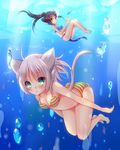  animal_ears bikini meiya_neon nekomimi swimsuits tail 