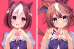  2girls animal_ears blue_eyes blush bow bowtie braid breasts brown_hair closed_mouth collarbone commentary_request ear_bow four-finger_heart_hands hair_between_eyes half_up_braid heart heart_hands highres horse_ears horse_girl long_hair looking_at_viewer multicolored_hair multiple_girls open_mouth ponytail puffy_short_sleeves puffy_sleeves purple_bow purple_bowtie purple_eyes purple_shirt sabi1234 sailor_collar sailor_shirt school_uniform shirt short_hair short_sleeves simple_background small_breasts smile special_week_(umamusume) streaked_hair teeth tokai_teio_(umamusume) tracen_school_uniform two-tone_hair umamusume upper_body upper_teeth_only white_hair white_sailor_collar 