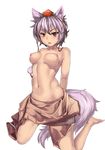  animal_ears inubashiri_momiji lu_hao_liang nipples tail topless touhou 