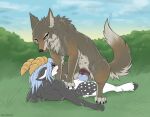 2026 4_nipples animal_genitalia animal_vulva anthro anthro_on_feral anthro_penetrating anthro_penetrating_female anthro_penetrating_feral belly_nipples bestiality biped black_body black_fur blep blue_hair blue_penis blush bovid brown_body brown_fur canid canine canine_genitalia canine_vulva canis caprine claws cowgirl_position digital_media_(artwork) digitoxici duo erection female female_on_anthro female_penetrated feral feral_penetrated from_front_position fur genitals goat grey_body grey_fur hair hi_res hooves horn knot male male/female male_on_feral male_penetrating male_penetrating_female male_penetrating_feral mammal multi_nipple multicolored_body multicolored_fur nipples on_bottom on_top outside_sex penetration penile penile_penetration penis penis_in_vagina prey_penetrating_predator quadruped sex toe_claws tongue tongue_out two_tone_body two_tone_fur vaginal vaginal_penetration vulva white_body white_fur wolf