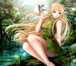  bare_legs barefoot bird blonde_hair circlet deedlit dress elf forest grin legs long_hair looking_at_viewer nature outdoors pointy_ears rainbow record_of_lodoss_war river satochi_(1122) sitting sleeveless sleeveless_dress smile solo water 