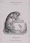 19th_century absurd_res ambiguous_feral ambiguous_gender ancient_art aquarium aquatic claws cyprinid cypriniform digitigrade domestic_cat dorsal_fin english_text felid feline felis feral fin finger_claws fish fish_bowl fur goldfish group hatching_(art) hi_res lithograph_(artwork) looking_at_another mammal markings monochrome on_hind_legs paws predator/prey quadruped robert_seymour scales shaded side_view size_difference solo_focus standing striped_body striped_fur striped_markings striped_tail stripes tail tail_fin tail_markings text toe_claws tongue tongue_out traditional_media_(artwork) vivarium whiskers