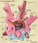  :> ambiguous_gender anatomy beady_eyes biological_illustration blue_eyes christopher_stoll closed_smile corsola cross_section digital_drawing_(artwork) digital_media_(artwork) english_text feral full-length_portrait generation_2_pokemon grey_body guts hi_res intestines mouth_closed multicolored_body nintendo organs paper_background pink_body pokemon pokemon_(species) pokenatomy portrait side_view simple_background smile solo species_name stomach tan_background technical_illustration text twitter_handle two_tone_body 