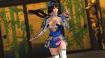  1girl 3d breasts cleavage dead_or_alive dead_or_alive_5 ii_naotora large_breasts long_hair official_art sengoku_musou solo 