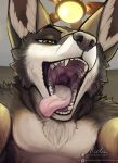 acidic anthro arm_tuft black_body black_fur black_nose bodily_fluids canid canine cheek_tuft facial_tuft fangs front_view fur glistening glistening_eyes hi_res inside looking_at_viewer male male_anthro mammal mouth_shot narrowed_eyes neck_tuft open_mouth pink_tongue saliva saliva_string shoulder_tuft signature slim_anthro slim_male solo tan_body tan_fur teeth text tongue tongue_out tuft url white_body white_fur yellow_eyes