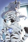  1girl ahoge an_choby animal_ears ass back bare_shoulders black_fur blue_panties blush breasts closed_mouth clothes_pull commentary_request from_behind furry furry_female grey_hair highres indoors large_breasts long_hair looking_at_viewer looking_back median_furrow original panties red_eyes shirt shirt_pull shoulder_blades solo tail thighs tiger_ears tiger_girl tiger_tail two-tone_fur underwear white_fur white_shirt 