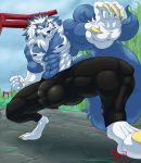  2019 4_toes 5_fingers abs anthro balls biceps big_muscles blue_fur blue_hair blue_nose blue_skin bulge canid canine canis capcom claws clothed clothing darkstalkers day digitigrade fist fur gloves_(marking) hair hungothenomster jon_talbain low-angle_view male mammal mane markings multicolored_fur multicolored_hair multicolored_skin muscular muscular_male muscular_thighs nipples pants pecs penis_outline penis_shaped_bulge pose post sharp_teeth sky smile socks_(marking) solo teeth tight_clothing toes topless two_tone_fur two_tone_hair two_tone_skin video_games were werecanid werecanine werewolf white_fur white_hair white_skin wolf yellow_eyes 