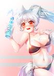  animal_ears bikini bottle fox_ears long_hair original ramune red_eyes rewolf side-tie_bikini silver_hair solo swimsuit tail untied untied_bikini untied_bra 