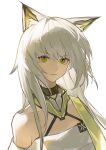  1girl absurdres animal_ear_fluff animal_ears arknights bare_shoulders cat_ears cat_girl chinese_commentary closed_mouth commentary_request dumenggu green_eyes grey_hair highres kal'tsit_(arknights) kal'tsit_esperanta_(arknights) long_hair looking_at_viewer simple_background solo upper_body white_background 