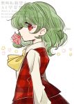  1girl ascot commentary flower flower-shaped_pupils flower_in_mouth flower_request from_side green_hair highres kazami_yuuka looking_at_viewer open_clothes open_vest pink_flower plaid_clothes plaid_skirt plaid_vest red_eyes red_vest shirt simple_background skirt skirt_set solo symbol-shaped_pupils tama_(hiroshige_36) touhou twitter_username vest watermark white_background white_shirt yellow_ascot 