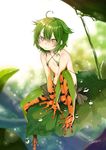  :3 absurdres ahoge artist_name bad_id bad_twitter_id bangs bare_shoulders breasts dancho_(dancyo) duplicate frog_girl green_hair hair_between_eyes highres leaf looking_at_viewer original personification short_hair sitting slit_pupils small_breasts solo torn_clothes water water_drop wet yellow_eyes 