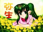  74 blush chiki fire_emblem fire_emblem:_monshou_no_nazo flower green_eyes green_hair jewelry long_hair mamkute pointy_ears ponytail solo 