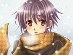  bad_id bad_pixiv_id blush brown_eyes coat nagato_yuki purple_hair ren_lowol scarf short_hair snow solo suzumiya_haruhi_no_shoushitsu suzumiya_haruhi_no_yuuutsu 