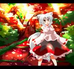  animal_ears bad_id bad_pixiv_id bajiru detached_sleeves hat inubashiri_momiji red_eyes short_hair silver_hair solo tail tokin_hat touhou wolf_ears wolf_tail 