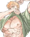  1boy abs bara bare_pectorals beard chinstrap_beard clothes_lift commentary_request facial_hair flexing green_eyes green_shirt hebaron_nirta highres korean_commentary lifting_own_clothes male_focus mature_male muscular muscular_male nipples orange_hair pectorals sharks_line3 shirt shirt_lift short_hair sideburns_stubble simple_background solo sparse_chest_hair sparse_navel_hair stubble thick_eyebrows tsurime under_the_oak_tree upper_body wavy_hair 