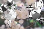  ... 2girls absurdres artist_name asaka_haru123 bird blurry boots bow buttons cat collared_shirt commentary_request depth_of_field diamond_button disembodied_linked_eye eyeball floral_print flower flower_request frilled_shirt_collar frilled_sleeves frills hairband hat hat_bow heart highres kaenbyou_rin kaenbyou_rin_(cat) komeiji_koishi komeiji_satori long_sleeves mini_person minigirl multiple_girls multiple_tails photo_background plant_request print_skirt pussy_willow_(plant) reiuji_utsuho reiuji_utsuho_(bird) rose_print shirt shoes siblings sisters skirt sleeves_past_fingers sleeves_past_wrists socks speech_bubble spoken_ellipsis tail thought_bubble touhou translation_request twitter_username two_tails wide_sleeves 