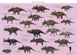 3d_(artwork) absurd_res achelousaurus achelousaurus_horneri albertaceratops albertaceratops_nesmoi ambiguous_gender avaceratops avaceratops_lammersi back_spines black_body brown_body centrosaurine centrosaurus centrosaurus_apertus ceratopsian ceratopsid coronosaurus coronosaurus_brinkmani diabloceratops diabloceratops_eatoni digital_media_(artwork) dinosaur einiosaurus einiosaurus_procurvicornis english_text feral geometric_background grey_body grid_background hi_res horn human machairoceratops machairoceratops_cronusi mammal map_background marginocephalian multicolored_body nasutoceratops nasutoceratops_titusi ornithischian pachyrhinosaurus pachyrhinosaurus_canadensis pachyrhinosaurus_lakustai pachyrhinosaurus_perotorum paleoguy pattern_background prehistoric_species reptile scalie simple_background sinoceratops sinoceratops_zhuchengensis species_name spinops spinops_sternbergorum striped_body stripes styracosaurus styracosaurus_albertensis styracosaurus_ovatus text wendiceratops wendiceratops_pinhornensis xenoceratops xenoceratops_foremostensis yehuecauhceratops yehuecauhceratops_mudei