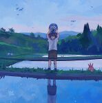  1boy absurdres alternate_costume arms_up bandaid bandaid_on_leg bird black_hair blue_shoes brown_shorts cloud commentary_request corphish grass highres holding holding_pokemon ivelovedsekaowa kieran_(pokemon) male_focus multicolored_hair open_mouth outdoors pokemon pokemon_(creature) pokemon_scarlet_and_violet poliwag purple_hair reflection reflective_liquid rice_paddy shirt shoes shorts signature sky socks standing water white_shirt wooper 