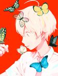  1boy ahoge bandoutan blonde_hair butterfly child haru_(tsuritama) male_focus portrait red_background shirt short_hair simple_background solo tsuritama 