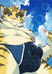  1boy abs adversarial_noise animal_ears bara biceps black_male_swimwear blue_eyes blue_sky bulge closed_mouth cloud cloudy_sky commentary_request covered_testicles from_below furry furry_male highres lens_flare looking_at_viewer looking_down male_focus male_swimwear morenatsu muscular muscular_male navel nipples pawpads pectorals pov shirako_(kirupi) sky smile thumbs_up tiger_boy tiger_ears tiger_stripes torahiko_oshima yellow_fur 