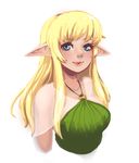  artist_request blonde_hair blue_eyes breasts elf large_breasts lips long_hair pointy_ears smile solo source_request tiffania_westwood zero_no_tsukaima 