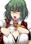  after_paizuri ascot black_bra bra breasts cleavage cum cum_on_body cum_on_breasts cum_on_upper_body green_hair huge_breasts kazami_yuuka paizuri_invitation plaid plaid_vest red_eyes saliva saliva_trail solo sweat tobisawa tongue tongue_out touhou underwear vest 