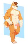  2018 4_fingers 4_toes anthro balls blush brown_eyes brown_fur brown_hair canine dog erection front_view fur grin hair hi_res humanoid_penis looking_aside male mammal muscular muscular_male nipples nude o-ro penis shiba_inu shiranai smile solo standing toes vein veiny_penis 