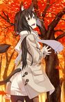  animal_ears autumn_leaves black_hair cat_ears cat_tail coat kimura_(ykimu) long_hair original red_eyes scarf solo sweater tail 