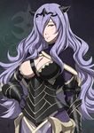  1girl breasts camilla_(fire_emblem_if) cleavage daniel_macgregor fire_emblem fire_emblem_if looking_at_viewer nintendo purple_hair solo upper_body 