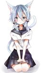  animal_ears blue_eyes blue_hair cat_ears cat_tail chima_(fusigiko) school_uniform seiza serafuku short_hair sinon_(sao-alo) sitting solo sword_art_online tail 
