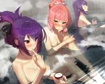  3girls absurdres alcohol bangs barefoot blush breasts chin_rest collarbone commentary_request convenient_arm eyebrows_visible_through_hair eyes_closed fate/grand_order fate_(series) feet_out_of_frame food from_side hair_between_eyes hair_bun hair_ribbon hair_up hand_on_own_cheek hand_up head_tilt highres holding ice_cream knee_up large_breasts long_hair looking_at_another medb_(fate)_(all) medb_(fate/grand_order) medium_breasts multiple_girls nude onsen parted_lips partially_submerged pink_hair ponytail profile purple_hair red_eyes ribbon sake scathach_(fate)_(all) scathach_(fate/grand_order) scathach_skadi_(fate/grand_order) sidelocks sitting steam sukocchi tied_hair upper_body very_long_hair water yellow_eyes 