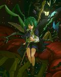  amayadori-tei antennae bug butterfly butterfly_wings cape centipede full_body green_eyes green_hair insect insect_wings lantern long_sleeves looking_at_viewer shirt shoes short_hair shorts sitting socks solo staff touhou wings wriggle_nightbug 