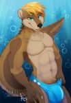  2018 ahro anthro blonde_hair bubble bulge clothing fur hair looking_at_viewer male mammal muscular muscular_male mustelid otter pecs sea simple_background smile solo speedo swimsuit underwater water 