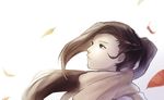  bangs brown_eyes brown_hair fire_emblem fire_emblem_if ichikeita kagerou_(fire_emblem_if) leaf long_hair ponytail scarf simple_background solo white_background 