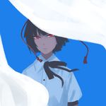  amino_(tn7135) bad_id bad_pixiv_id black_hair blue_background collared_shirt curtains expressionless hat head_tilt looking_at_viewer red_eyes red_pupils ribbon shameimaru_aya shirt short_hair short_sleeves simple_background solo tokin_hat touhou white_shirt wind 